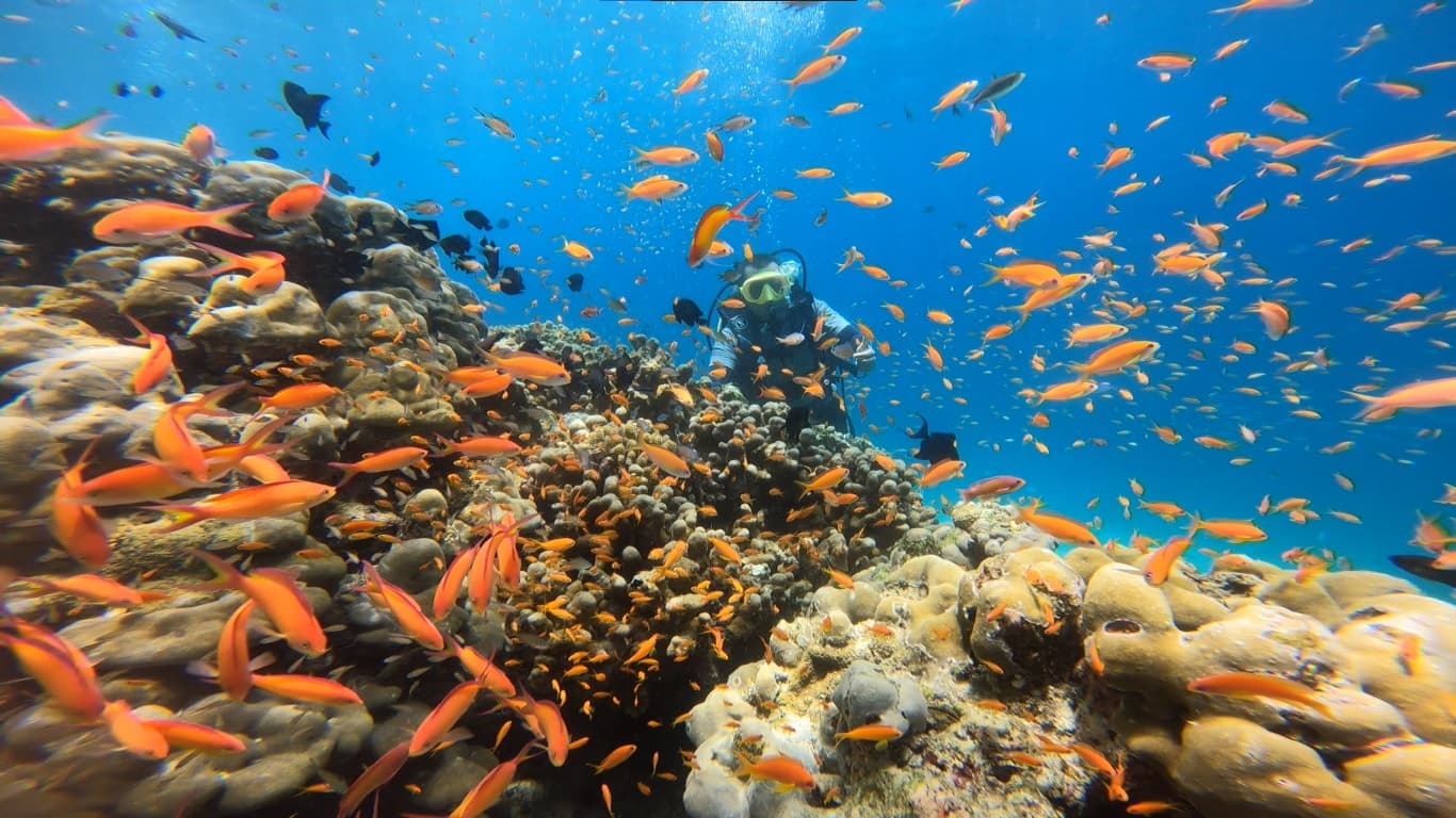 diving site