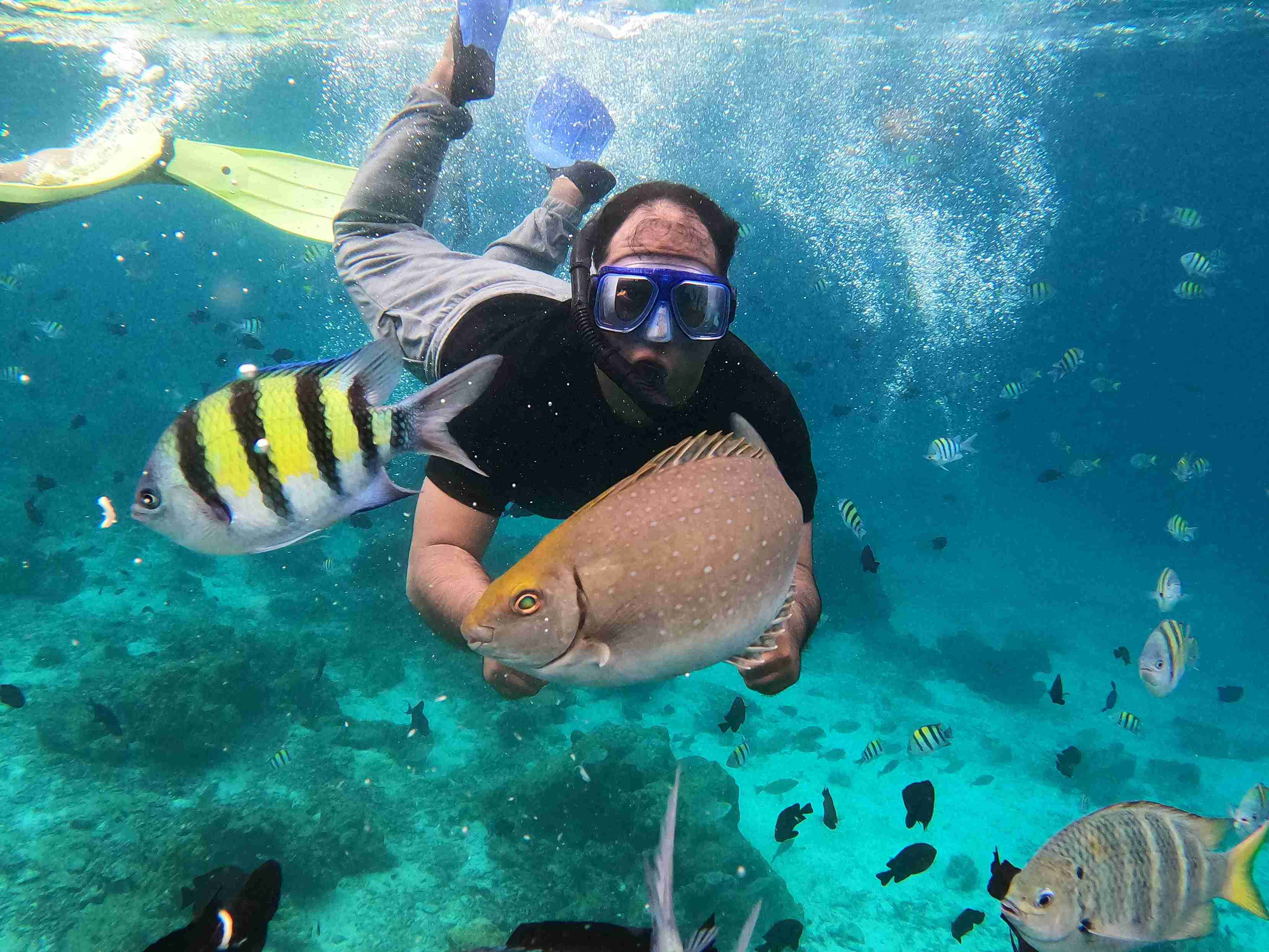 snorkeling site