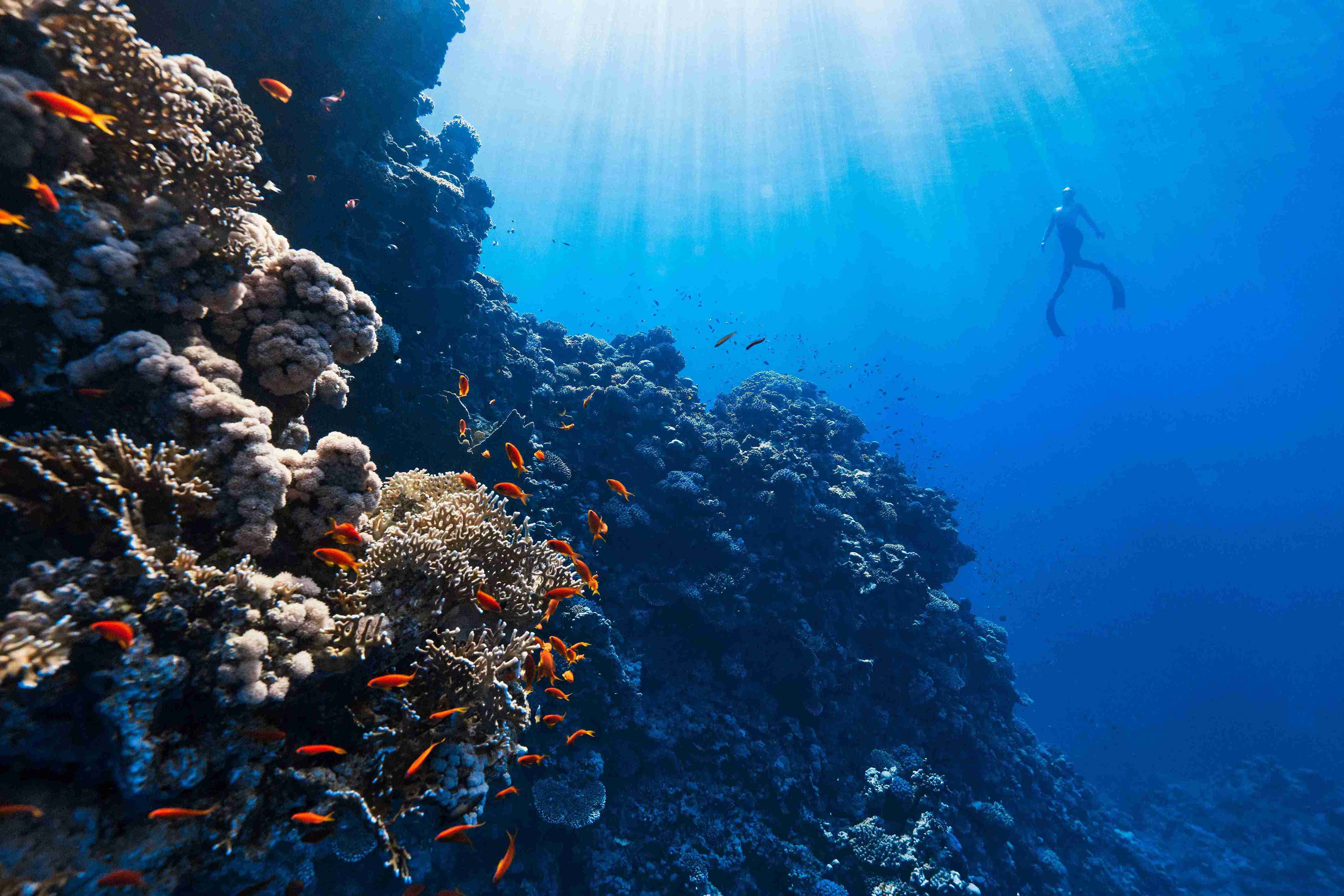 Underwater